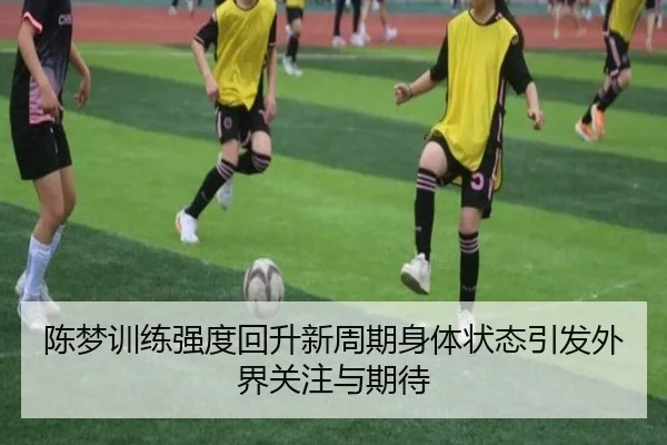 陈梦训练强度回升新周期身体状态引发外界关注与期待