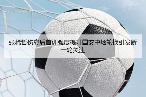 张稀哲伤愈后首训强度提升国安中场轮换引发新一轮关注